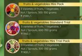 🥗 NutriBlend Salads – Fresh Fruits & Vegetables Salad Packs